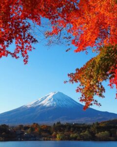 河口湖もみじ回廊付近 、富士山・紅葉、11月秋、山梨県南都留郡の観光・撮影スポットの名所
