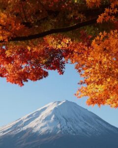 河口湖もみじ回廊付近 、富士山・紅葉、11月秋、山梨県南都留郡の観光・撮影スポットの名所