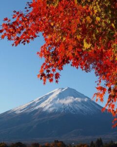 河口湖もみじ回廊付近 、富士山・紅葉、11月秋、山梨県南都留郡の観光・撮影スポットの名所
