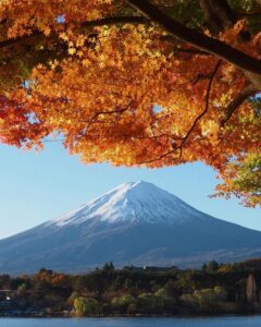 河口湖もみじ回廊付近 、富士山・紅葉、11月秋、山梨県南都留郡の観光・撮影スポットの名所