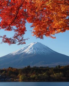 河口湖もみじ回廊付近 、富士山・紅葉、11月秋、山梨県南都留郡の観光・撮影スポットの名所