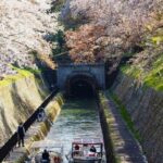 琵琶湖流水 、桜、舟、水景色、4月春、京都府、滋賀県の観光・撮影スポットの名所