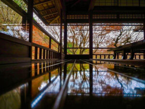 瑠璃光院 、紅葉、11月秋、京都府京都市の観光・撮影スポットの名所