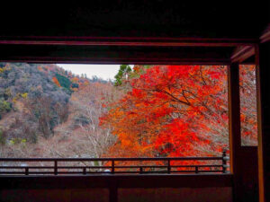 瑠璃光院 、紅葉、11月秋、京都府京都市の観光・撮影スポットの名所