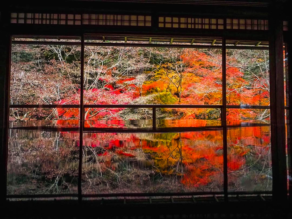 瑠璃光院 、紅葉、11月秋、京都府京都市の観光・撮影スポットの名所