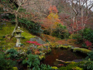 瑠璃光院 、紅葉、11月秋、京都府京都市の観光・撮影スポットの名所