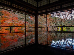 瑠璃光院 、紅葉、11月秋、京都府京都市の観光・撮影スポットの名所