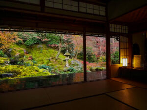 瑠璃光院 、紅葉、11月秋、京都府京都市の観光・撮影スポットの名所