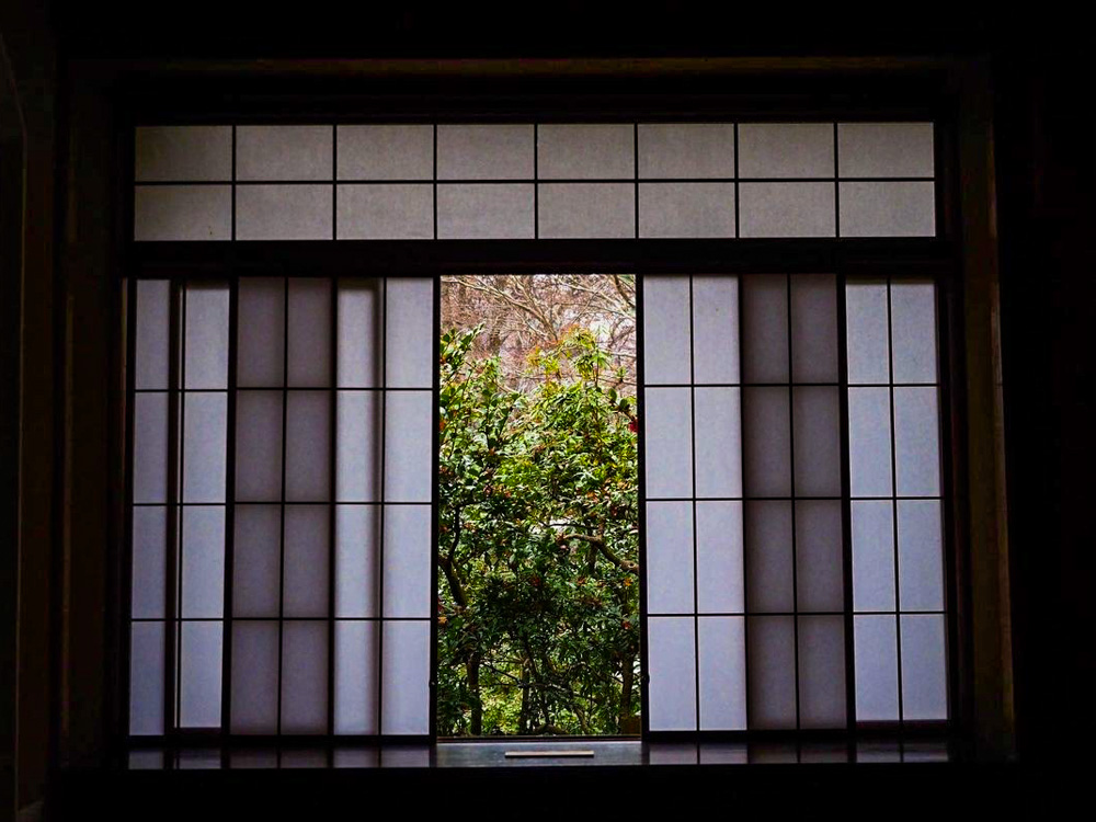 瑠璃光院 、紅葉、11月秋、京都府京都市の観光・撮影スポットの名所