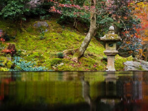 瑠璃光院 、紅葉、11月秋、京都府京都市の観光・撮影スポットの名所