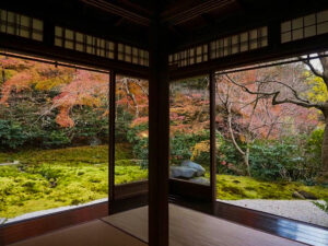 瑠璃光院 、紅葉、11月秋、京都府京都市の観光・撮影スポットの名所
