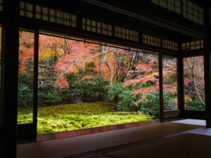 瑠璃光院 、紅葉、11月秋、京都府京都市の観光・撮影スポットの名所