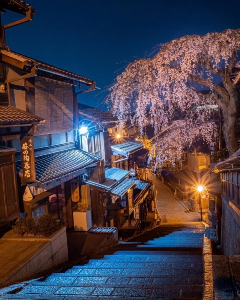 産寧坂、桜ライトアップ、4月春、京都府京都市の観光・撮影スポットの名所