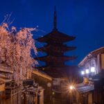 産寧坂・法観寺、桜ライトアップ、4月春、京都府京都市の観光・撮影スポットの名所