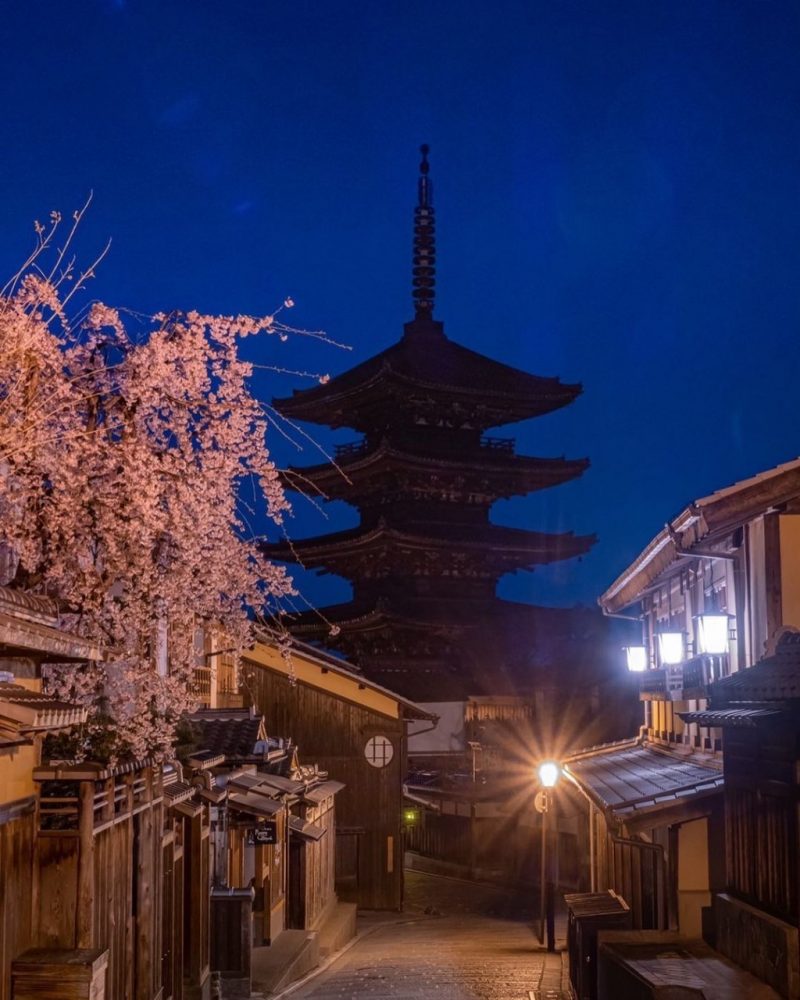 産寧坂・法観寺、桜ライトアップ、4月春、京都府京都市の観光・撮影スポットの名所
