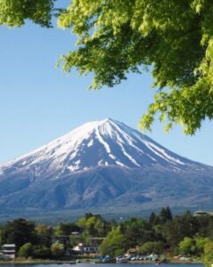 河口湖もみじ回廊付近 、富士山・河口湖・夏紅葉、5月春、山梨県南都留郡の観光・撮影スポットの名所