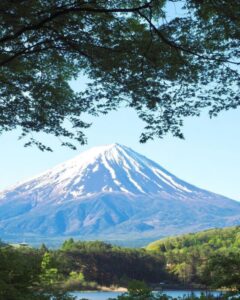 河口湖もみじ回廊付近 、富士山・河口湖・夏紅葉、5月春、山梨県南都留郡の観光・撮影スポットの名所