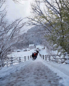 白川郷合掌造り集落、雪景色、2月冬、岐阜県大野郡の観光・撮影スポットの画像と写真