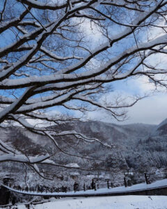 白川郷合掌造り集落、雪景色、2月冬、岐阜県大野郡の観光・撮影スポットの画像と写真