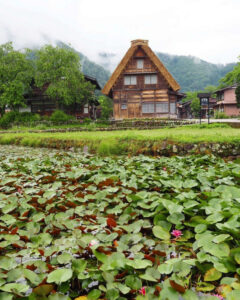 白川郷合掌造り集落、夏景色、6月夏、岐阜県大野郡の観光・撮影スポットの画像と写真