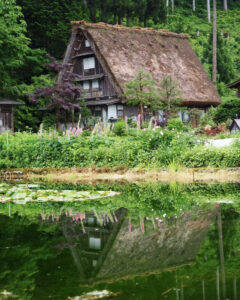 白川郷合掌造り集落、夏景色、6月夏、岐阜県大野郡の観光・撮影スポットの画像と写真