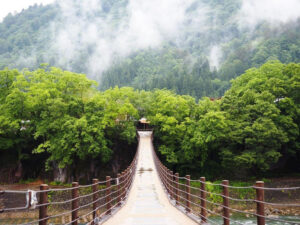 白川郷合掌造り集落、夏景色、6月夏、岐阜県大野郡の観光・撮影スポットの画像と写真