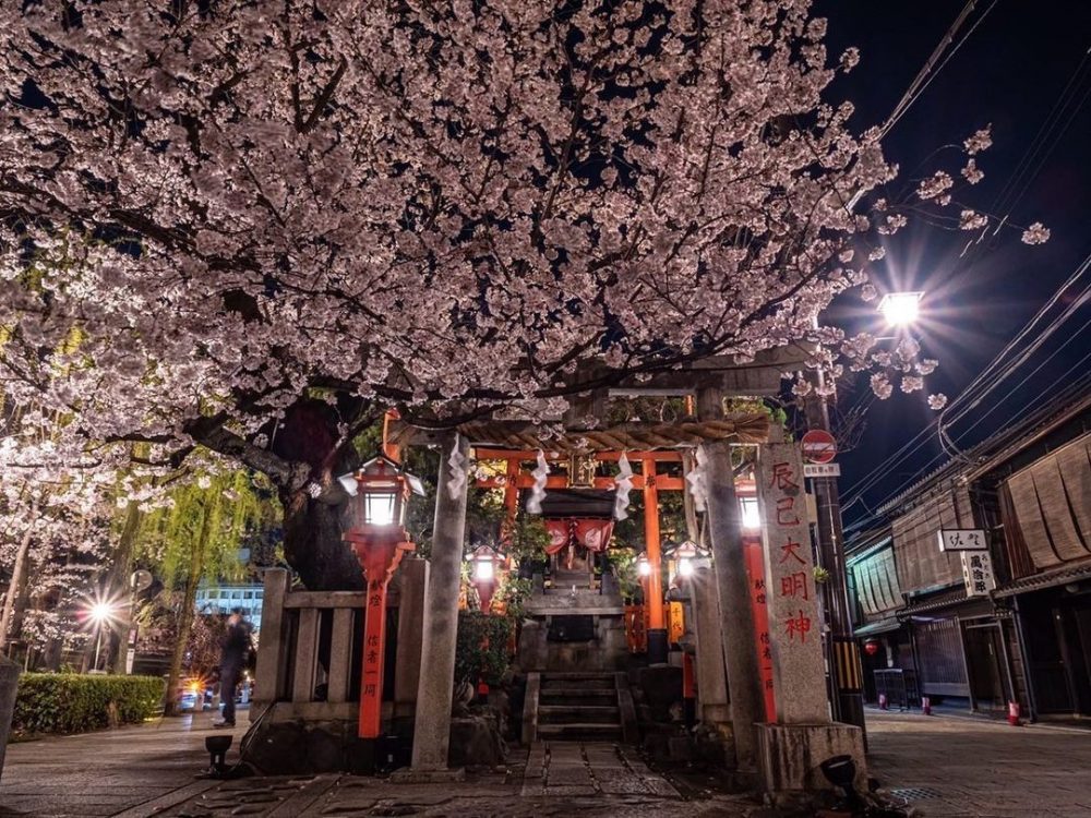 祇園白川桜ライトアップ、4月春、京都府京都市の観光・撮影スポットの名所