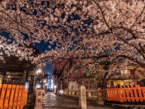 祇園白川桜ライトアップ、4月春、京都府京都市の観光・撮影スポットの名所