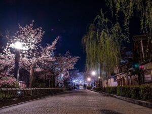 祇園白川桜ライトアップ、4月春、京都府京都市の観光・撮影スポットの名所