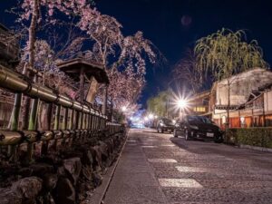 祇園白川桜ライトアップ、4月春、京都府京都市の観光・撮影スポットの名所