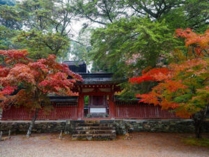 神護寺 、紅葉、11月秋、京都府京都市の観光・撮影スポットの名所
