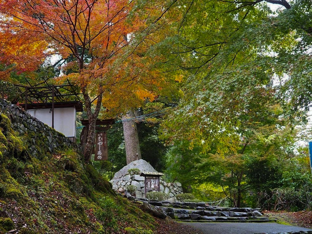 神護寺 、紅葉、11月秋、京都府京都市の観光・撮影スポットの名所