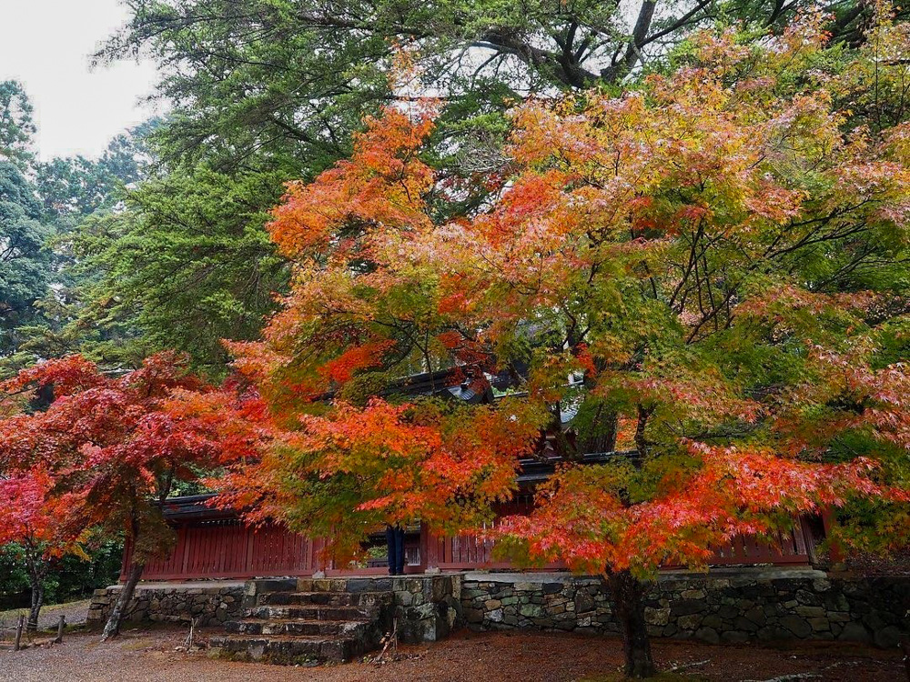 神護寺 、紅葉、11月秋、京都府京都市の観光・撮影スポットの名所