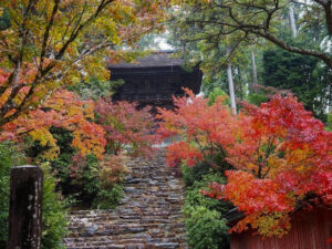 神護寺 、紅葉、11月秋、京都府京都市の観光・撮影スポットの名所