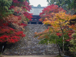神護寺 、紅葉、11月秋、京都府京都市の観光・撮影スポットの名所