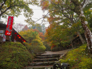 神護寺 、紅葉、11月秋、京都府京都市の観光・撮影スポットの名所