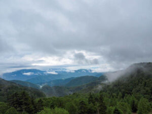 美ヶ原高原、夏景色、ビーナスライン、2021年8月、長野県上田市の観光・撮影スポットの名所