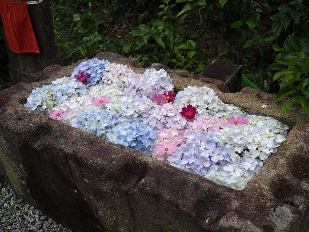 般若寺 、花手水舎、６月夏、奈良県奈良市の観光・撮影スポットの名所