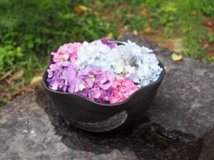般若寺 、花手水舎、６月夏、奈良県奈良市の観光・撮影スポットの名所
