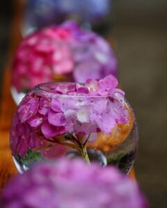 般若寺 、あじさい、６月夏、奈良県奈良市の観光・撮影スポットの名所