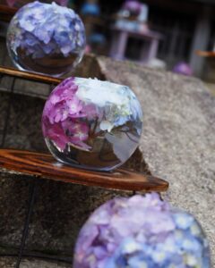 般若寺 、あじさい、６月夏、奈良県奈良市の観光・撮影スポットの名所
