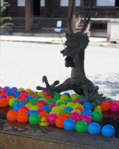 西教寺、花手水舎、７月夏、滋賀県大津市の観光・撮影スポットの名所
