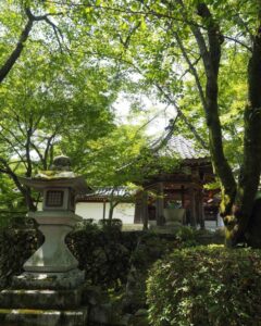 西教寺、新緑、夏景色、７月夏、滋賀県大津市の観光・撮影スポットの名所