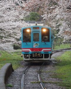 谷汲口駅、樽見鉄道、桜、4月春、岐阜県揖斐郡の観光・撮影スポットの画像と写真