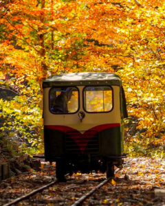 赤坂自然休養林 、トロッコ列車、紅葉、11月秋、長野県木曽郡の観光・撮影スポットの名所