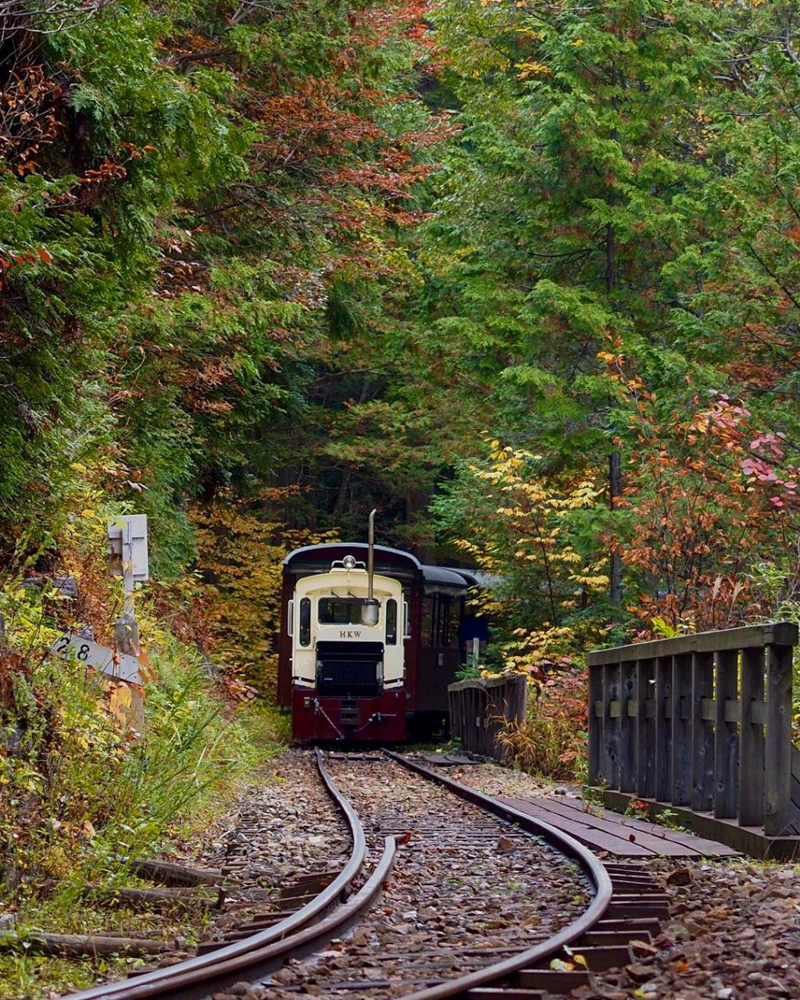 赤坂自然休養林 、トロッコ列車、紅葉、11月秋、長野県木曽郡の観光・撮影スポットの名所