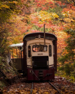 赤坂自然休養林 、トロッコ列車、紅葉、11月秋、長野県木曽郡の観光・撮影スポットの名所