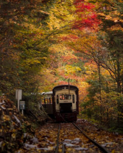 赤坂自然休養林 、トロッコ列車、紅葉、11月秋、長野県木曽郡の観光・撮影スポットの名所