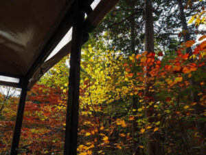 赤坂自然休養林 、紅葉、11月秋、長野県木曽郡の観光・撮影スポットの名所