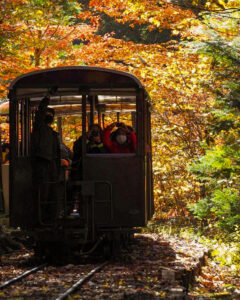 赤坂自然休養林 、トロッコ列車、紅葉、11月秋、長野県木曽郡の観光・撮影スポットの名所